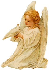 Child angel with dove